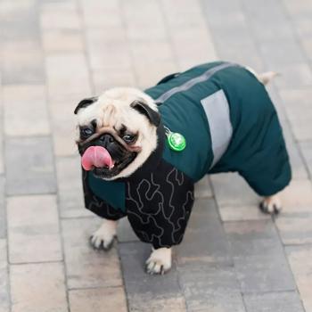 Комбінезон для собак Pet Fashion Den S-M - купити, ціни на MasterZoo - фото 4