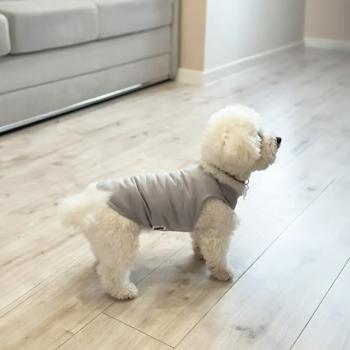 Pet Fun Tank Top for Dogs s.XS Gray - buy, prices for MasterZoo - photo 2