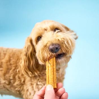 Knash Woofa Loofa Snack for Dental Health of Small Breed Dogs with Apple, Peanut Butter and Turmeric 115g - buy, prices for MasterZoo - photo 7