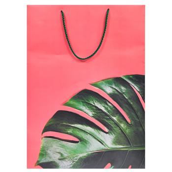 Nature Paper Gift Bag 48х34х12cm