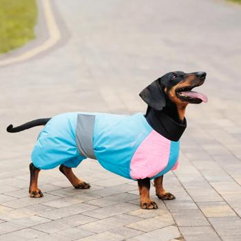 Pet Fashion Milly Overalls for Dogs with Reflective Elements s.XL corgi - buy, prices for MasterZoo - photo 6