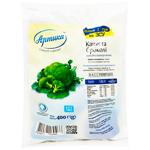 Artika Frozen Broccoli 400g