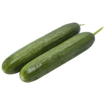 vegetables cucumber Without brand fresh