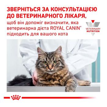 Сухий корм для котів Royal Canin Renal Select 400 г - купити, ціни на MasterZoo - фото 3