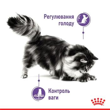 Royal Canin Appetite Control Wet Food for Controlling Appetite and Weight in Cats 85g - buy, prices for MasterZoo - photo 5