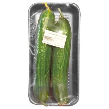 Ukraine Premium Cucumber - buy, prices for COSMOS - photo 2