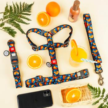 Waudog Nylon Leash 122cm/20mm with Oranges Design - buy, prices for MasterZoo - photo 3