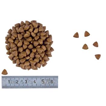 Корм сухий Royal Canin Gastrointestinal для кошенят із захворюваннями шлунково-кишкового тракту 2кг - купити, ціни на MasterZoo - фото 2