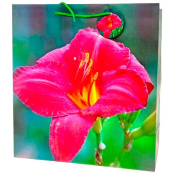 Пакет подарочный Art studio of Happines GB-24182 35х37х12см