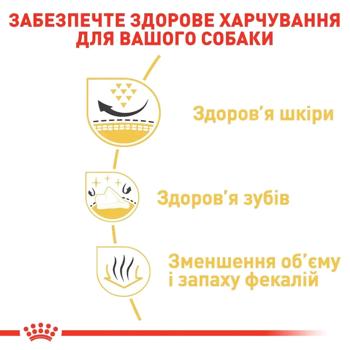 Royal Canin Adult Dry Food with Poultry for Shih Tzu Dogs 1.5kg - buy, prices for MasterZoo - photo 5