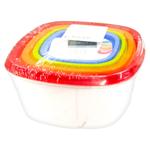 Excellent Houseware Food Storage Containers with Lids 4pcs