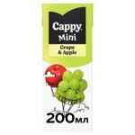 Cappy Mini Grape-apple Nectar 200ml