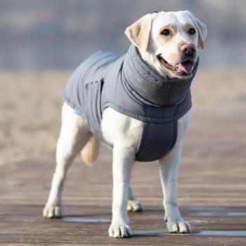 Noble Pet Bobby пуховик для собак 5XL - купити, ціни на MasterZoo - фото 7