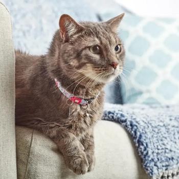 Нашийник для котів Max Molly Smart ID Цвітіння вишні One Size - білий - купити, ціни на MasterZoo - фото 4