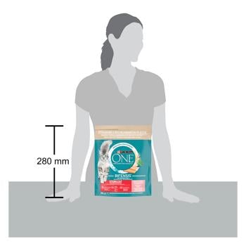 Purina One Sterilcat Dry Food with Salmon and Wheat for Sterilized Cats 800g - buy, prices for MasterZoo - photo 2