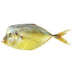 Fish Good Cold Smoked Vomer