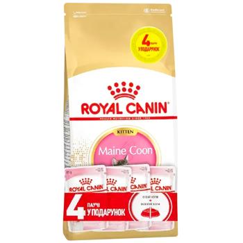 Набір корму Royal Canin для кошенят породи мейн-кун cухий 2кг + вологий 4шт х 85г - купити, ціни на MasterZoo - фото 1