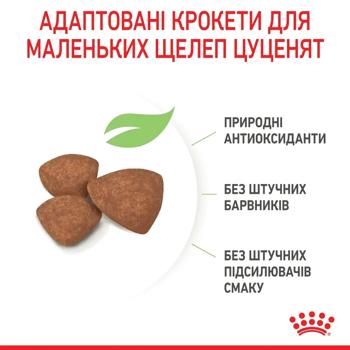 Набір корму Royal Canin Mini Puppy для цуценят малих порід cухий 2кг + вологий 4шт х 85г - купити, ціни на MasterZoo - фото 5
