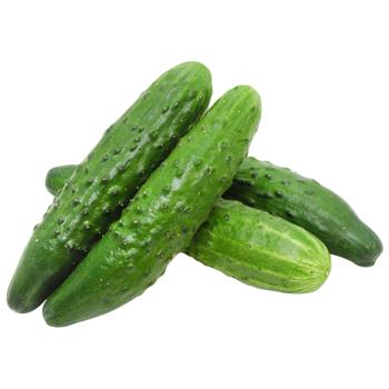 Estafeta Cucumber - buy, prices for Epicentr FOOD - photo 1