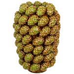 Vase Bonadi porcelain China