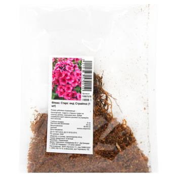 Bulb Without brand for garden Netherlands - buy, prices for MegaMarket - photo 1