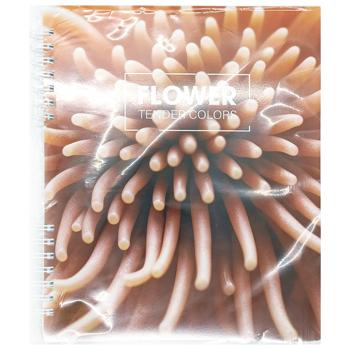 Блокнот В5 Optima 60 арк. клітинка на пружині O25932/3/4/5 - купить, цены на Таврия В - фото 3