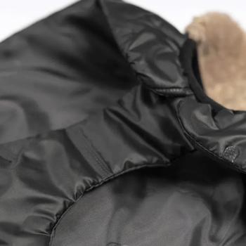 Pet Fashion Ted Horsecloth for Dogs s.M - buy, prices for MasterZoo - photo 4