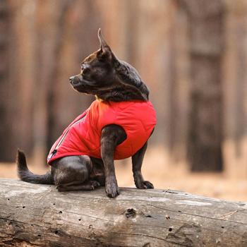 Pet Fashion E.Vest Vest for Dogs s.XS2 Red - buy, prices for MasterZoo - photo 7