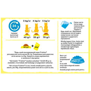 Friskies Sterilized Dry Food with Salmon, Tuna and Vegetables for Sterilized Cats 10kg - buy, prices for MasterZoo - photo 4