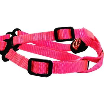 Leash Masterzoo China - buy, prices for MasterZoo - photo 3