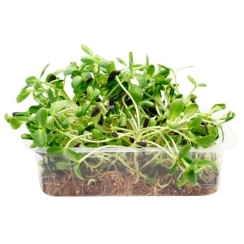 Sunflower Microgreens 200g - buy, prices for WINETIME - photo 1