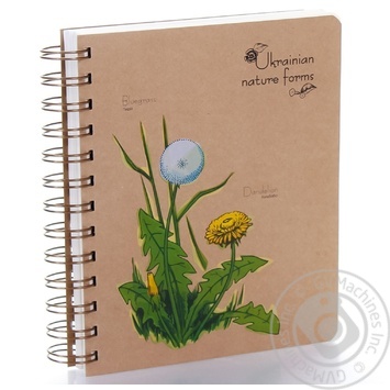 Notebook - buy, prices for MegaMarket - photo 6