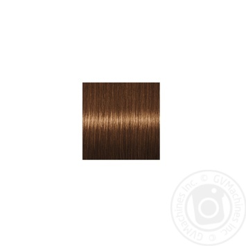 Cream-paint Palette Fitolinia for hair - buy, prices for MegaMarket - photo 3