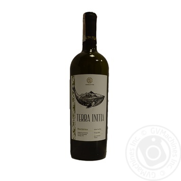 Wine Terra white dry 12.5% 750ml - buy, prices for MegaMarket - photo 3