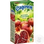 Sadochok Apple-pomegranate Nectar 0.5l
