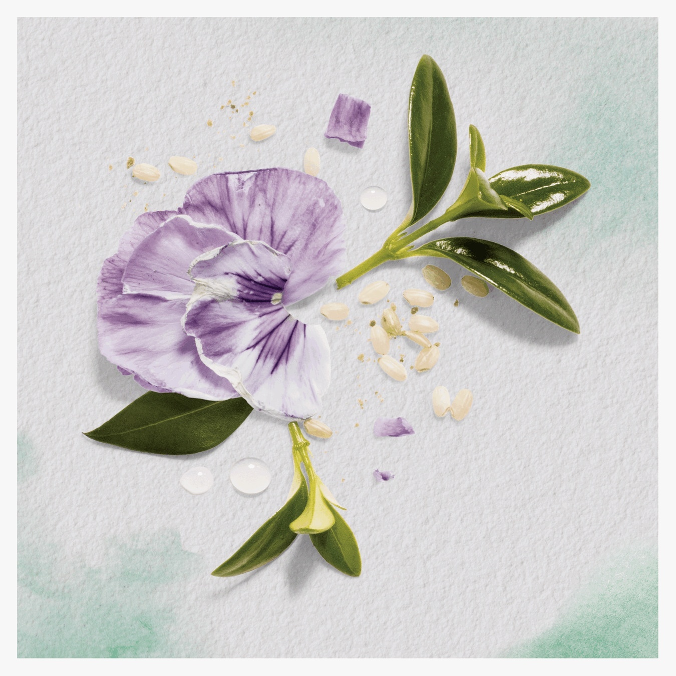 

Бальзам-ополаскиватель Herbal Essences Пассифлора и рисовое молоко 275мл