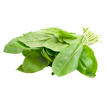 Sorrel, 1 Bunch - buy, prices for Auchan - photo 2