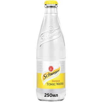 Schweppes Indian Tonic Carbonated Beverage 250ml - buy, prices for METRO - photo 1