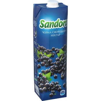 Sandora Blackcurrant Nectar 0.95l - buy, prices for Vostorg - photo 1