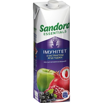 Sandora Essentials Nectar from Apples, Pomegranates and Chokeberry with Goji Berry Extract 0.95l - buy, prices for NOVUS - photo 1