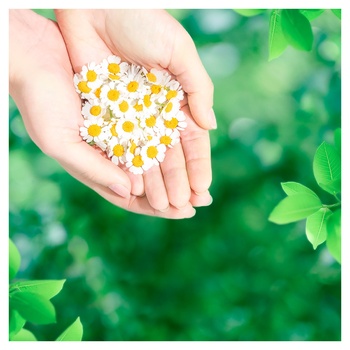 Прокладки гігієнічні Naturella Calendula Tenderness Normal 10шт - купити, ціни на NOVUS - фото 5