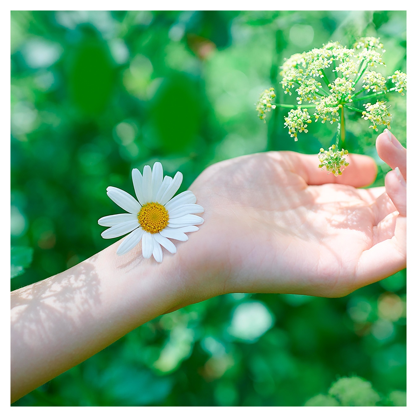 

Гигиенические прокладки Naturella Ultra Normal Plus 18шт