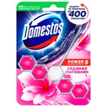 Блок для унитаза Domestos Ледяная магнолия 55г