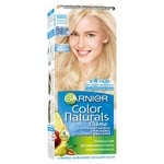 Garnier Ice Cream Blonde Hair Dye