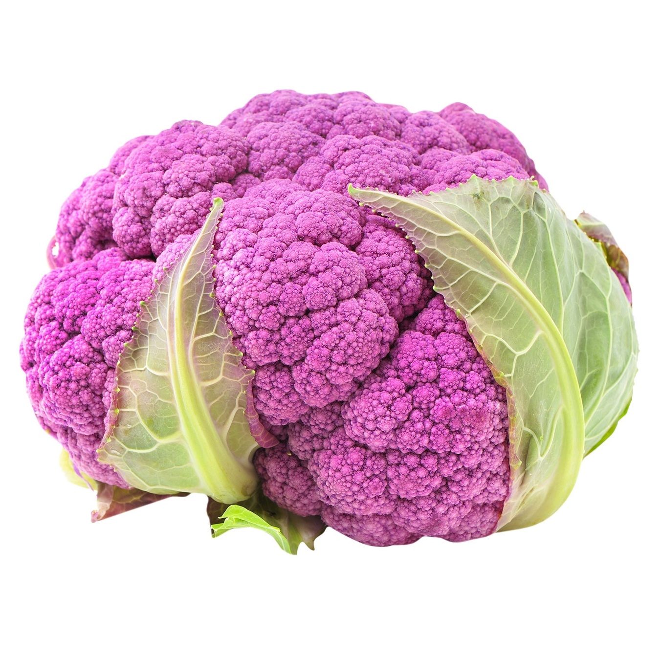 

Капуста цветная разноцветная