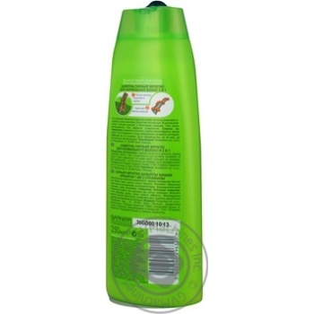 Shampoo Garnier 250ml Poland - buy, prices for NOVUS - photo 8