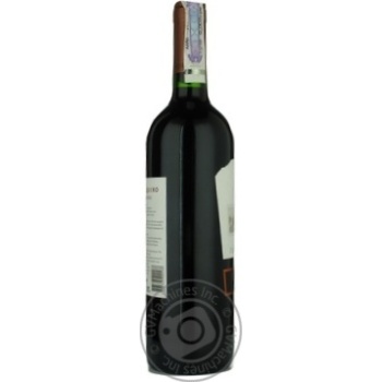 Вино Ventisquero  Carménère Reserva червоне сухе 0,75л купити, ціни на МегаМаркет - фото 4