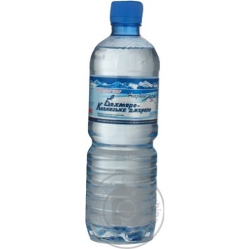 Water Bahmaro Springwater non-carbonated 500ml - buy, prices for MegaMarket - photo 1