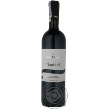 Wine refosco red dry 12.5% 750ml glass bottle Italy - buy, prices for MegaMarket - photo 2