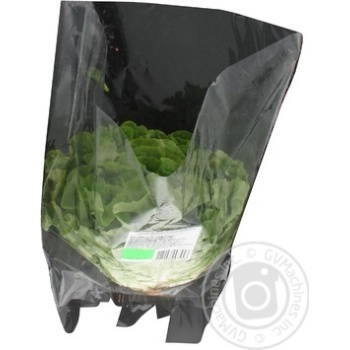 greens lettuce Without brand fresh - buy, prices for - photo 6